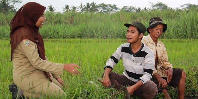 Jumlah Penyuluh Tak Sesuai Amanat UU