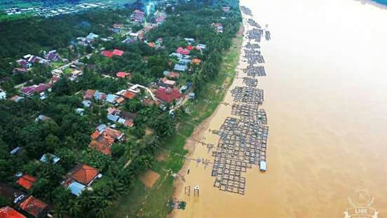 Alat Pakan Batanghari Jadi Sorotan