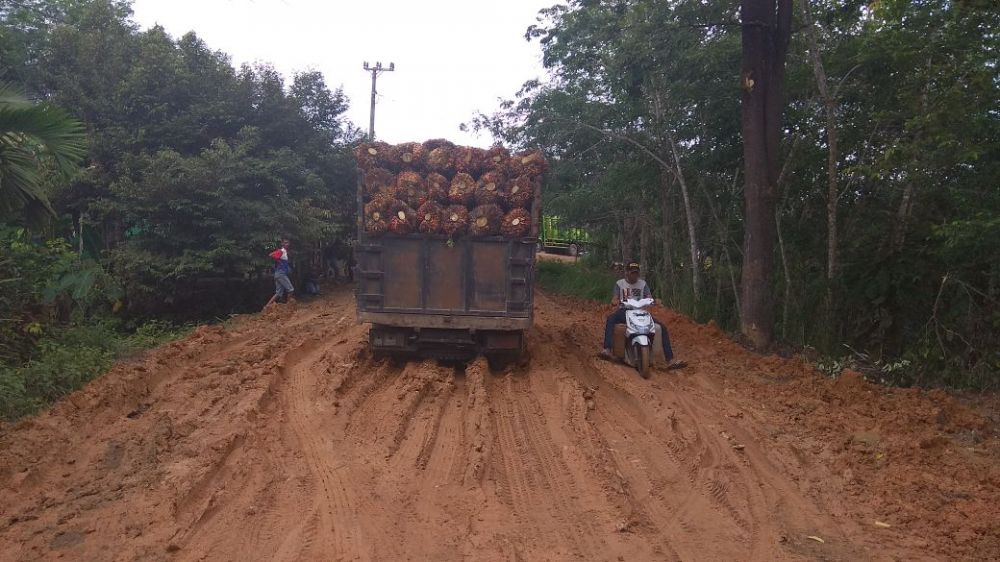 Jalan di Jangga Baru Rusak, 4 Tahun Belum Tersentuh Perbaikan