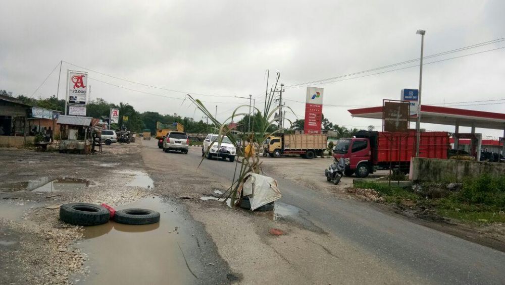 Rusak, Warga Sarolangun Tanam Tebu di Jalan