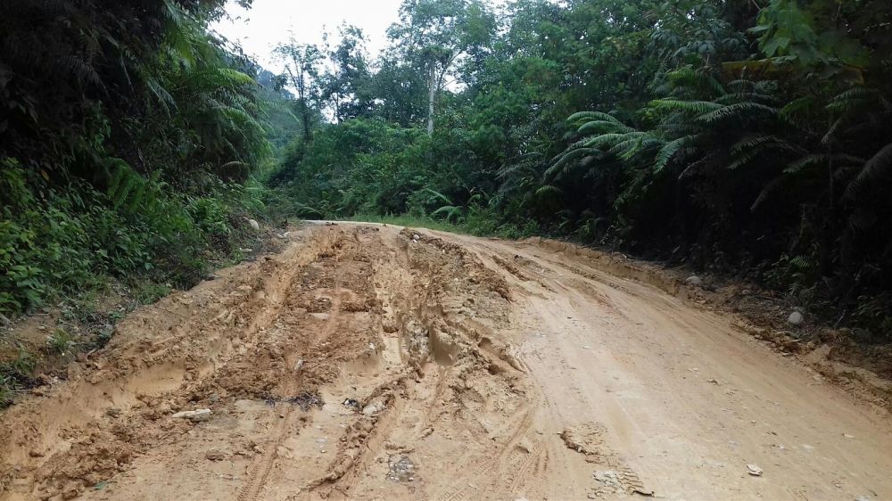 Jalan Ke Batang Asai Rusak