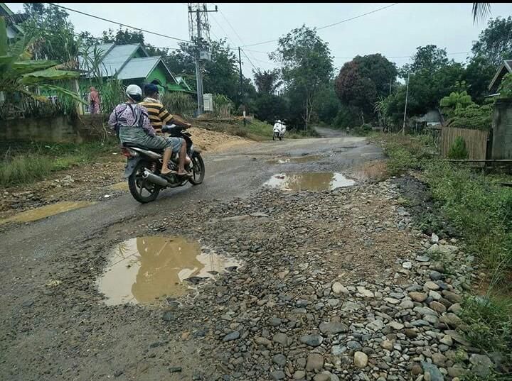 Warga Dusun Tebing Tinggi Bungo, Keluhkan Kondisi Jalan