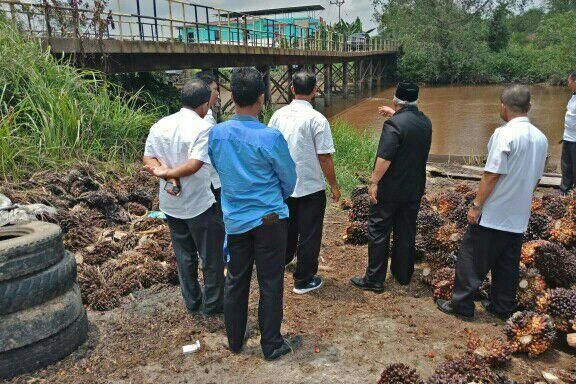 Bupati Tanjabbar Lihat Kondisi Jembatan Sugeng