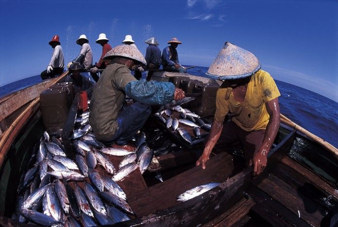 DKP Tanjabbar Sulit Data Jumlah Tangkapan Ikan