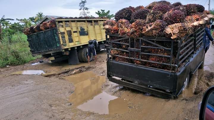 Jalan Jembatan Sabak Semakin Parah