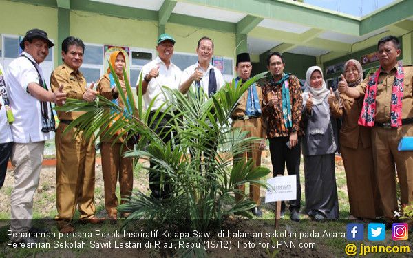 Indonesia Miliki Sekolah Tinggi Bidang Kelapa Sawit