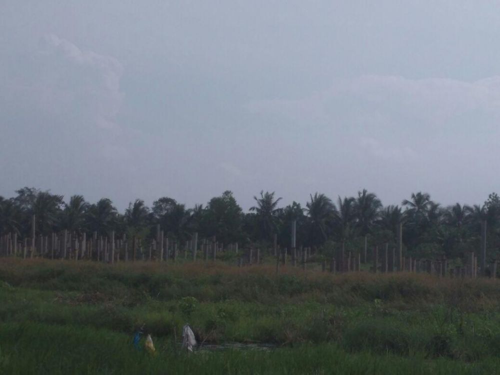 Lanjutan Pembangunan Sport Center 1, 5 M