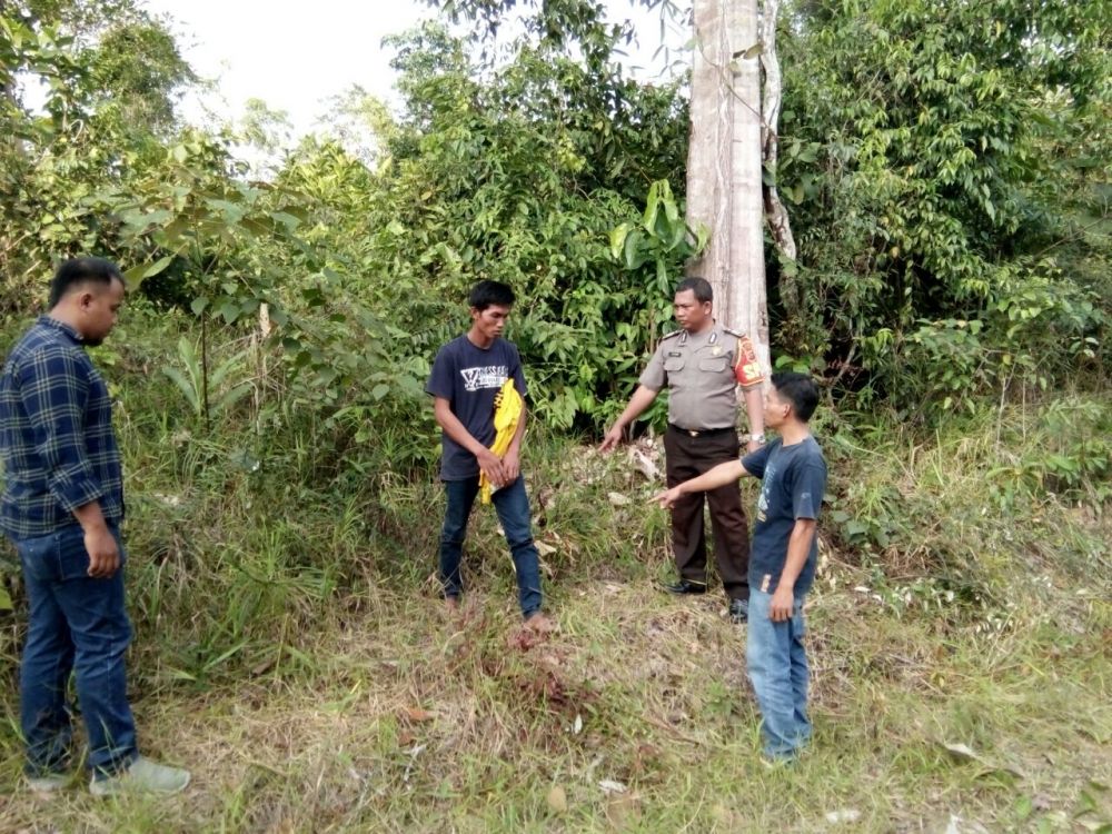 Sopir Truk Sawit Dirampok , Korban Disekap dan Tangan Diikat