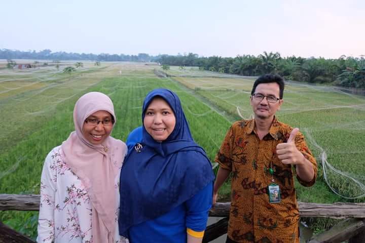 Bupati Dukung Pengembangan Wisata Sawah di Kumpe