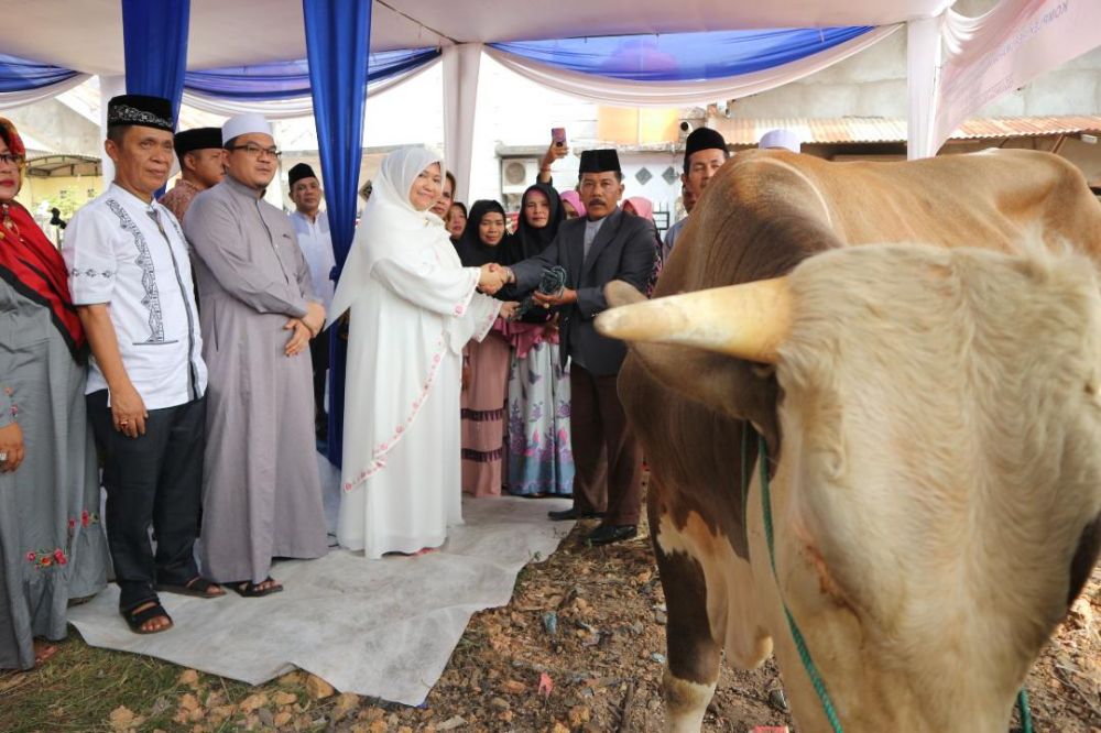 Bupati Serahkan Qurban di Mendalo Darat