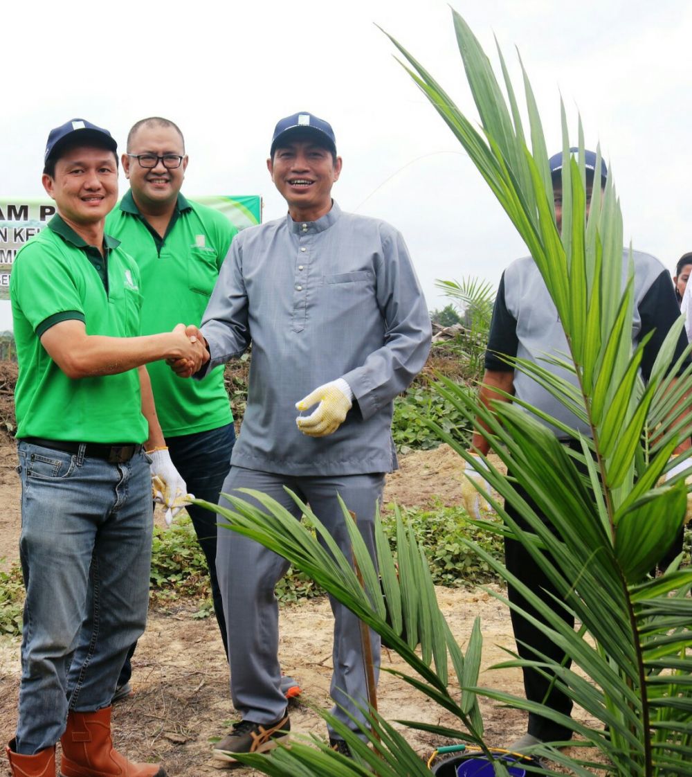 Pemkab Muarojambi Dukung Upaya Replanting Sawit 