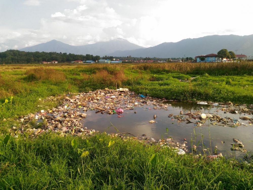 Sungai Dangkal, Sampah Rusak Sawah Warga