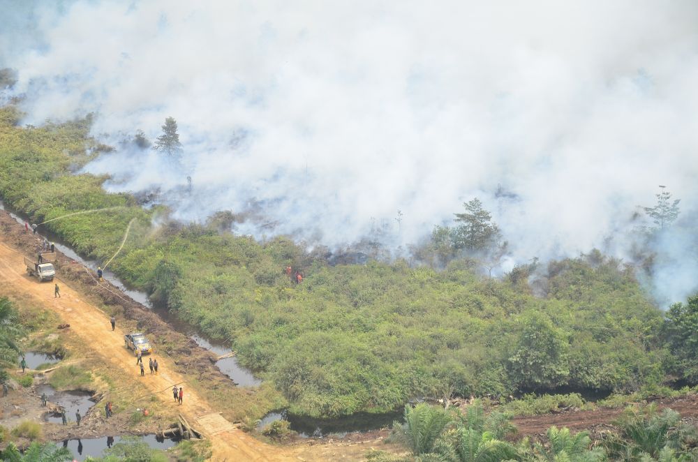 Dua Lahan Konsesi Terbakar