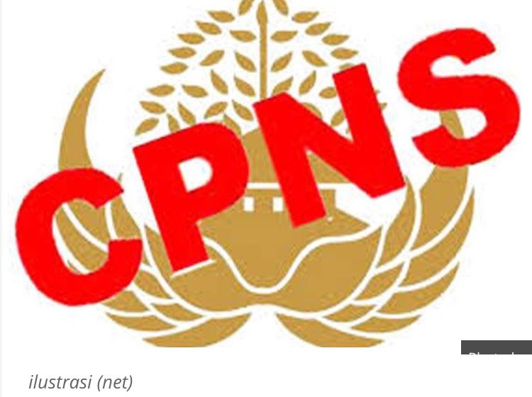 Formasi CPNS Batanghari 208 Orang