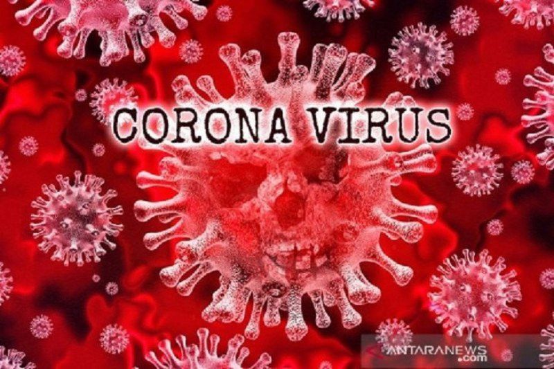 Level Siaga Virus Corona Dunia Sangat Tinggi, Indonesia?