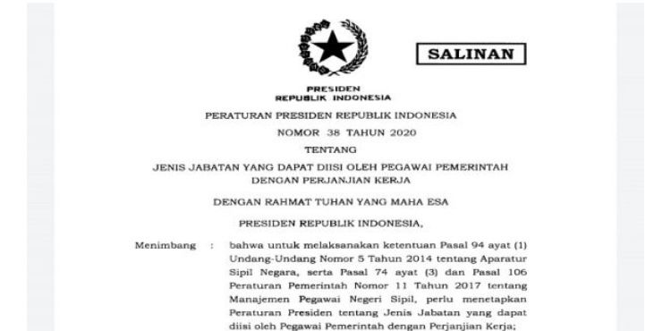 Daftar Nama 147 Jabatan Bisa Diisi PPPK, Sesuai Perpres 38 Tahun 2020