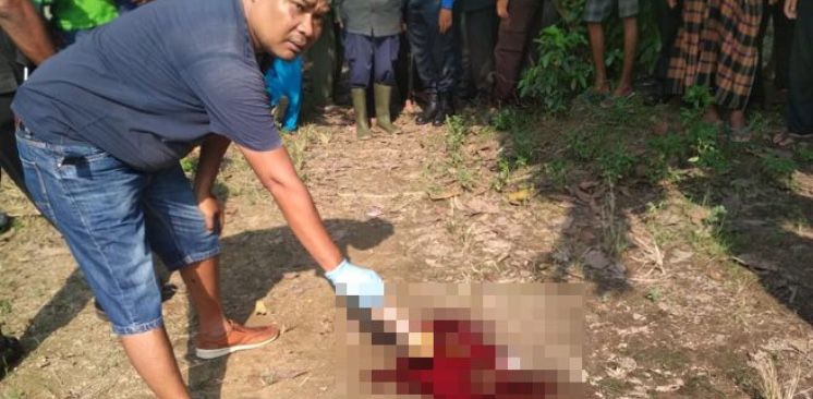 Diduga, Ini Motif Pelaku Pembunuhan Warga Kumpe yang Tewas Dibacok