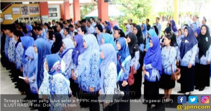 Kabar Sejuk untuk 51 Ribu Honorer K2 soal NIP PPPK