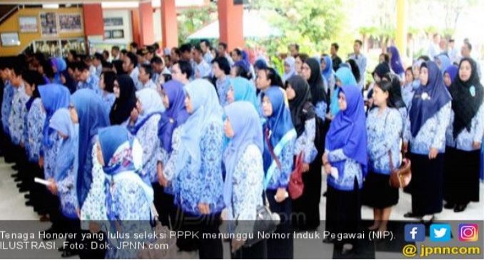 Surat Terbuka untuk Jokowi tentang PPPK Jalur Honorer K2