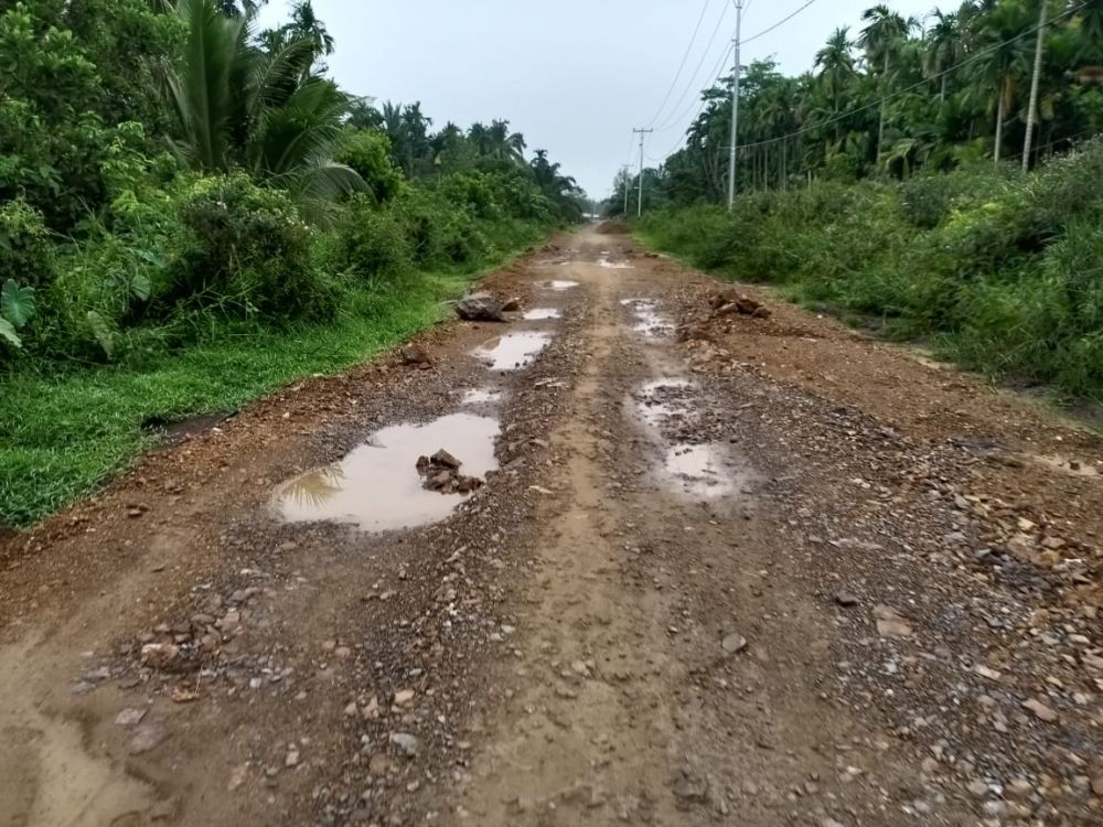 DPRD Tanjabbar Anggap Bina Marga Tak Profesional Kerjakan Jalan Lumahan-Margorukun