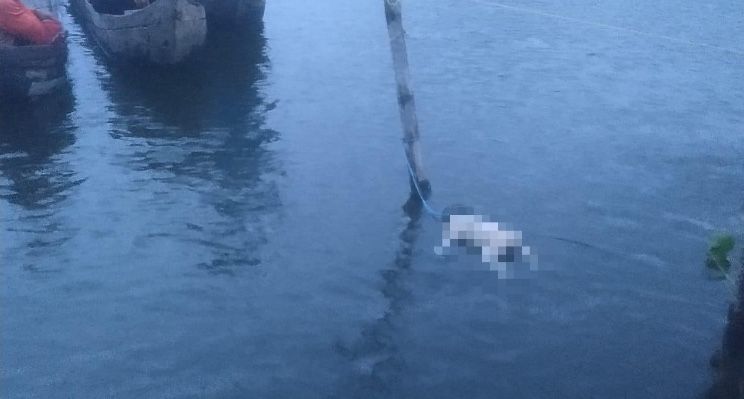 Warga Kerinci Temukan Mayat Bayi Perempuan Mengapung di Sungai