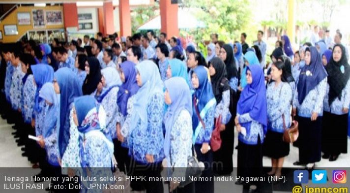 Pendapatan Negara Rp 922 Triliun, Angkat Hononer K2 jadi PNS Hanya Butuh Rp 33 Triliun Lho..