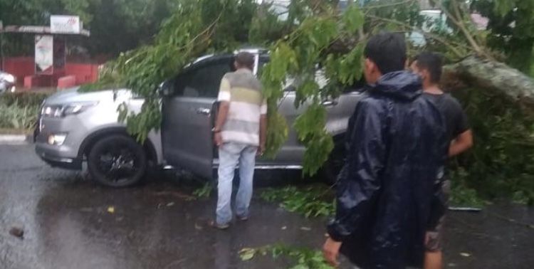 Hujan dan Angin Kencang, Sejumlah Pohon Tumbang Timpa Pengendara yang Melintas