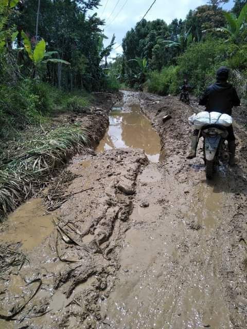 Meski Sudah Dianggarkan, Pimpinan DPRD Kerinci Minta Jalan Pungut - Renah Pemetik Segera Diperbaiki