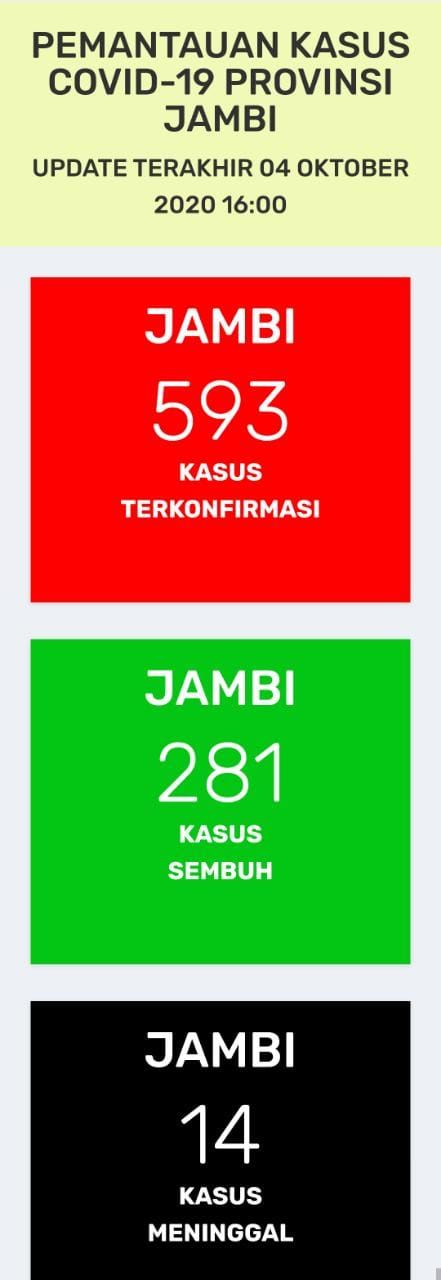 BREAKING NEWS: Positif Covid19 Jambi Bertambah 22 Orang, Hampir 300 Pasien Sedang Dirawat Saat Ini