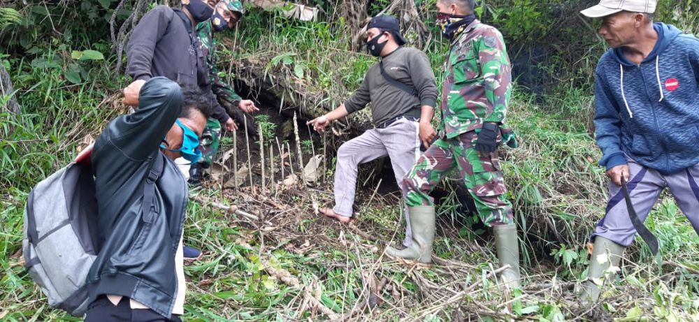 Petani di Kerinci Temukan Pohon Ganja, Anggota Kodim Langsung Sisir Lokasi