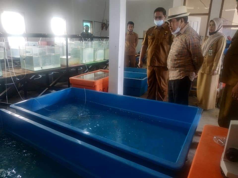 Dorong Produktivitas Sekaligus Pemenuhan Konsumsi Rumah Tangga, Wako AJB Serahkan Bantuan Bibit Ikan