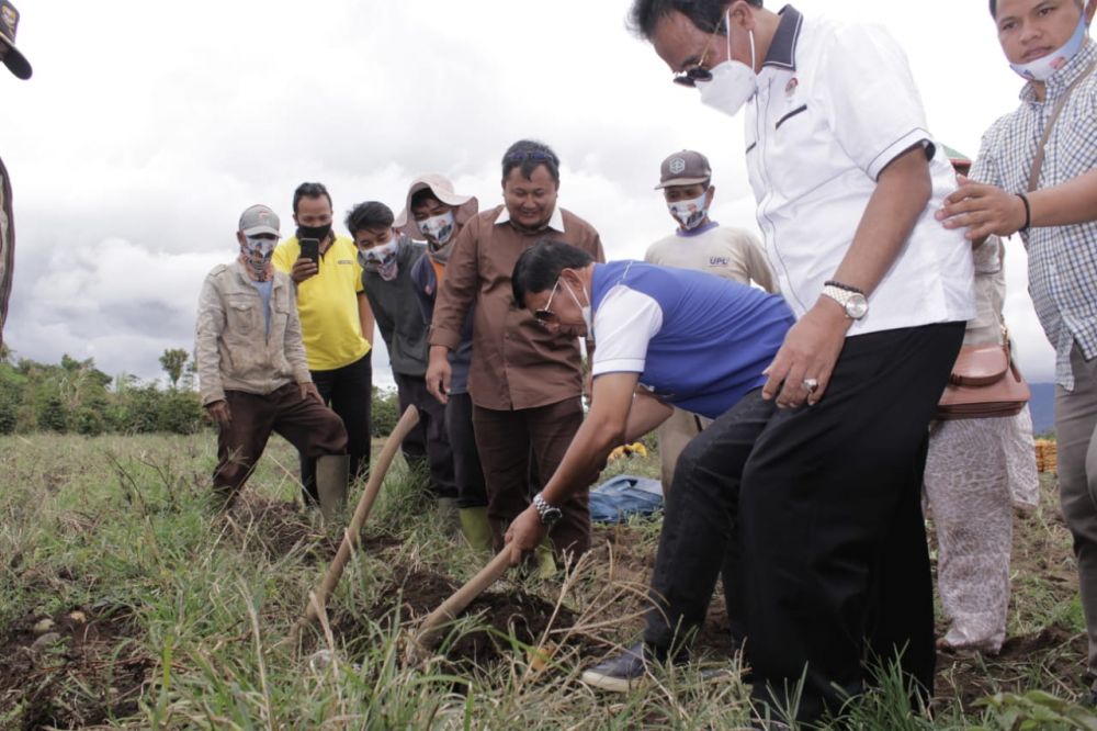 Tidak Hanya Kopi, Syafril Nursal Serap Aspirasi Petani Kentang Kayu Aro