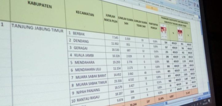 Di Tanjabtim, Hitung Cepat Sementara, Romi-Robby Raih Suara Terbanyak