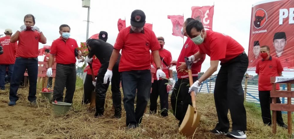 Pengurus PDIP Gelar Aksi Menanam Pohon di Sungai Batanghari