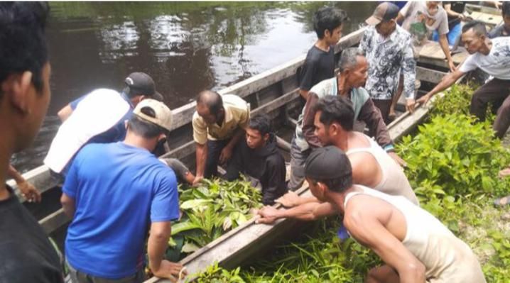 Hilang di Kanal, Ternyata Ibu-Ibu di Tanjabtim Ini di Serang Buaya