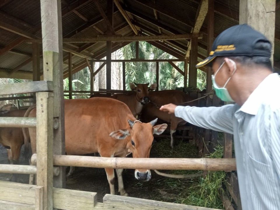 Peremajaan KUD Karya Jaya Merlung: Melanjutkan Silaturahmi ke Tahap Kedua