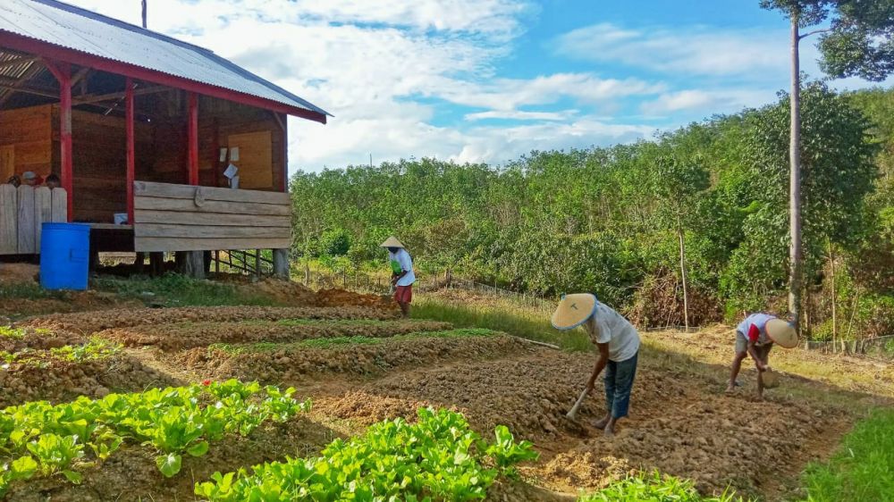 Provinsi Jambi Tempat Percontohan Kehutanan Sosial