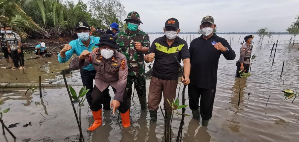 Dalam Rangka Penghijauan, Bupati Tanam Pohon Mangrove