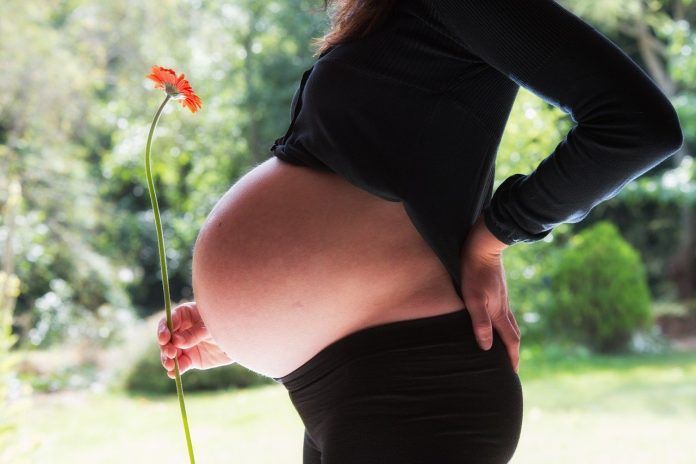 Daftar Makanan yang Pantang Dimakan Ibu Hamil