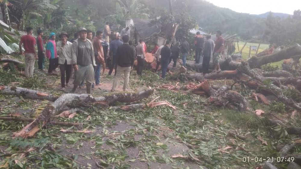 Angin Kencang di Kerinci Makan Korban, 1 Orang Warga Meninggal Dunia Tertimpa Pohon