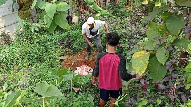 Sehari Ditanam, Kuburan Babi Ngepet di Sawangan Depok Dibongkar Polisi