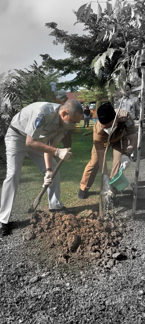 Jasa Raharja Jami Tanam Bibit Pohon