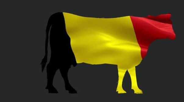 DISWAY: Dari Belgia ke Mana