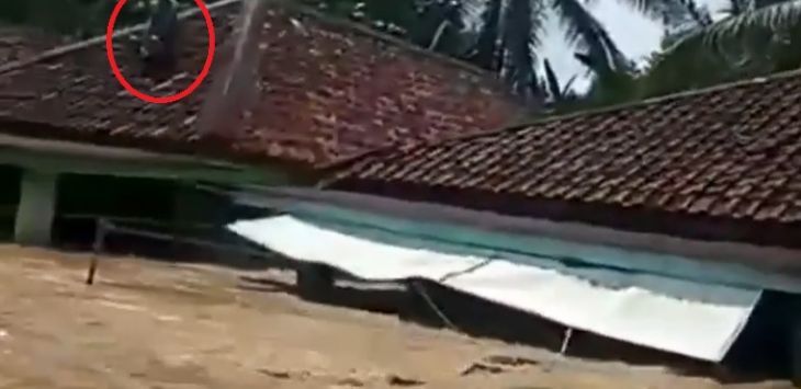 Ngeri! Banjir Selangit, 4 Desa Tenggelam, Air Nyaris Sampai Atap Rumah