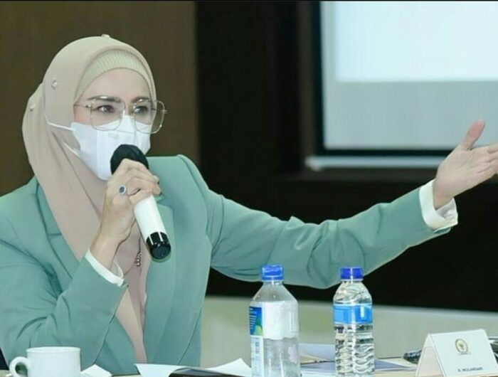 Mengintip Kiprah Mulan Jameela di DPR, Netizen: Udah Cantik, Pintar, Tutup Aurat Lagi