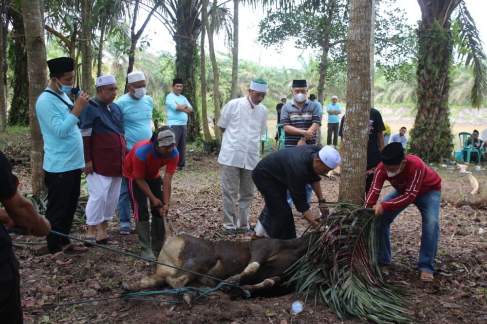  Bank Jambi Berbagi Kurban 42 Sapi dan 4 Kambing di Hari Raya Idul Adha 1442 H