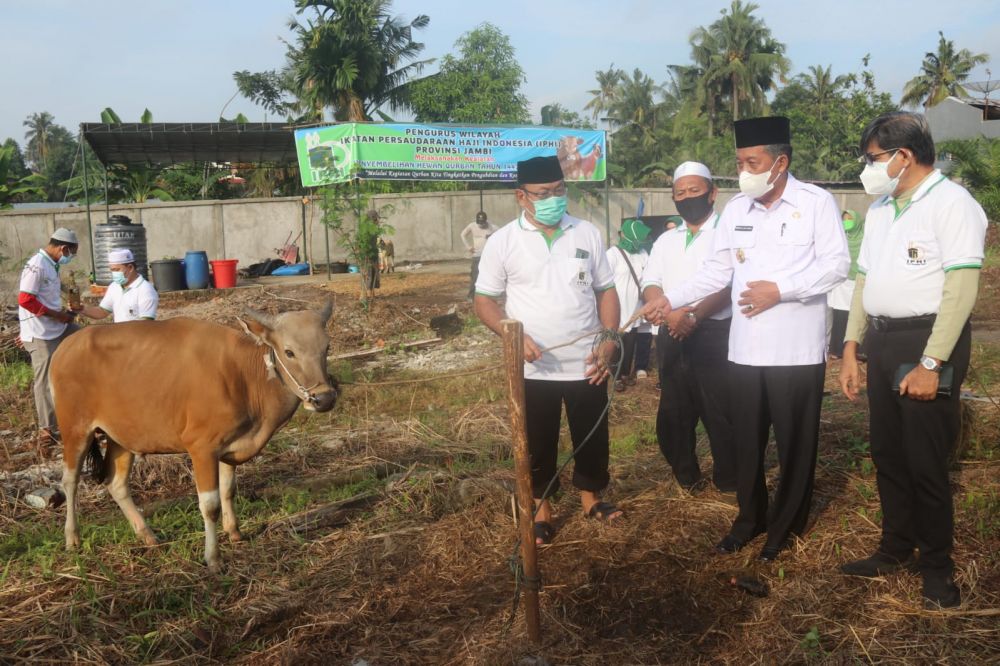 Wagub Jambi Serahkan Hewan Qurban: Qurban Perintah Allah SWT Bermanfaat Untuk Sesama