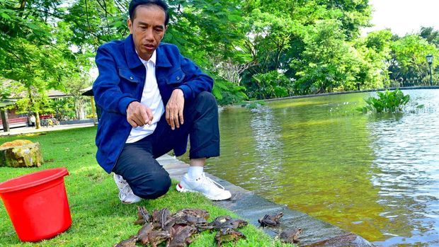 Megawati Nangis Karena Jokowi Dikatai Kodok, Rocky Gerung: Istilah Itu dari Istana