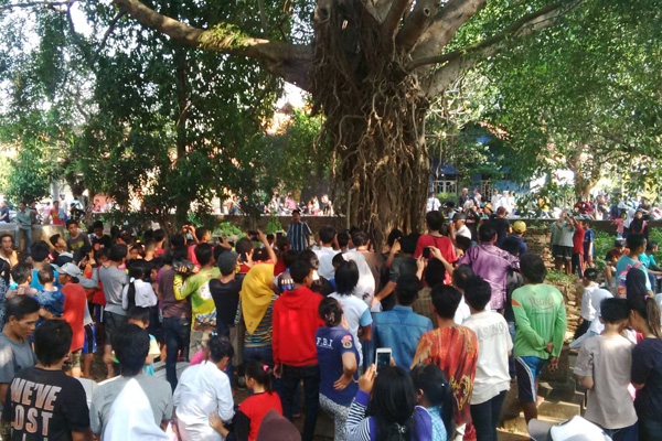 Sssssttt.. Ini Beberapa Jenis Pohon yang Dipercaya Sebagai Tempat Tinggal Makhluk Halus, Betulkah?