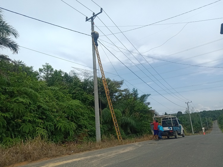  Buat Cemas Warga, Kabel PLN Ukuran Besar Putus dan Melintang di Jalan